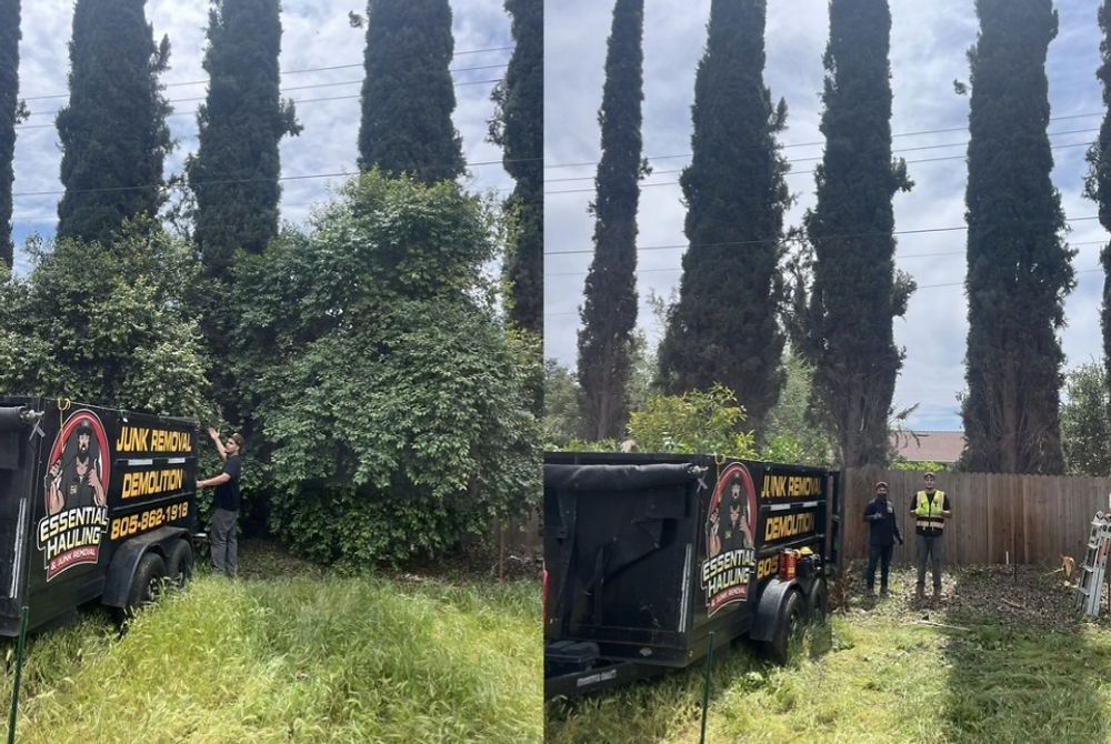 Brush clearing job: before and after with the Essential Hauling trailer